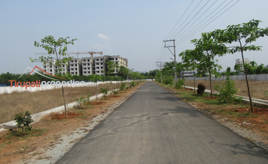 TUDA Approved #GatedCommunity East, West and North Facing Venture #PlotsforSale in Tiruchanur, #Tirupati